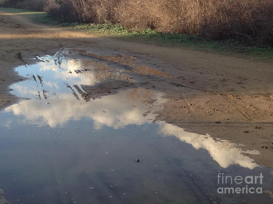 Clouds in Puddle Photograph by Nora Boghossian