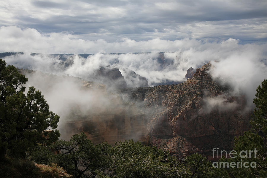 Clouds in the Canyon Photograph by Timothy Johnson
