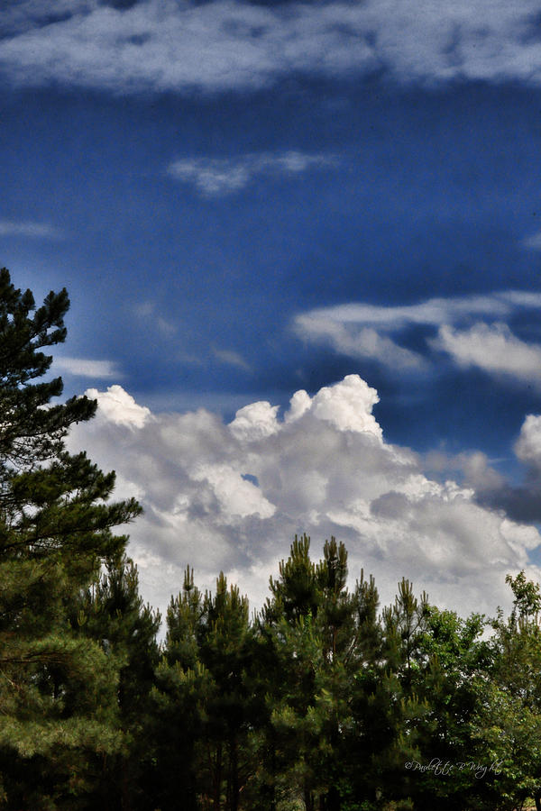 Clouds Like Mountains Behind The Pines Photograph by Paulette B Wright