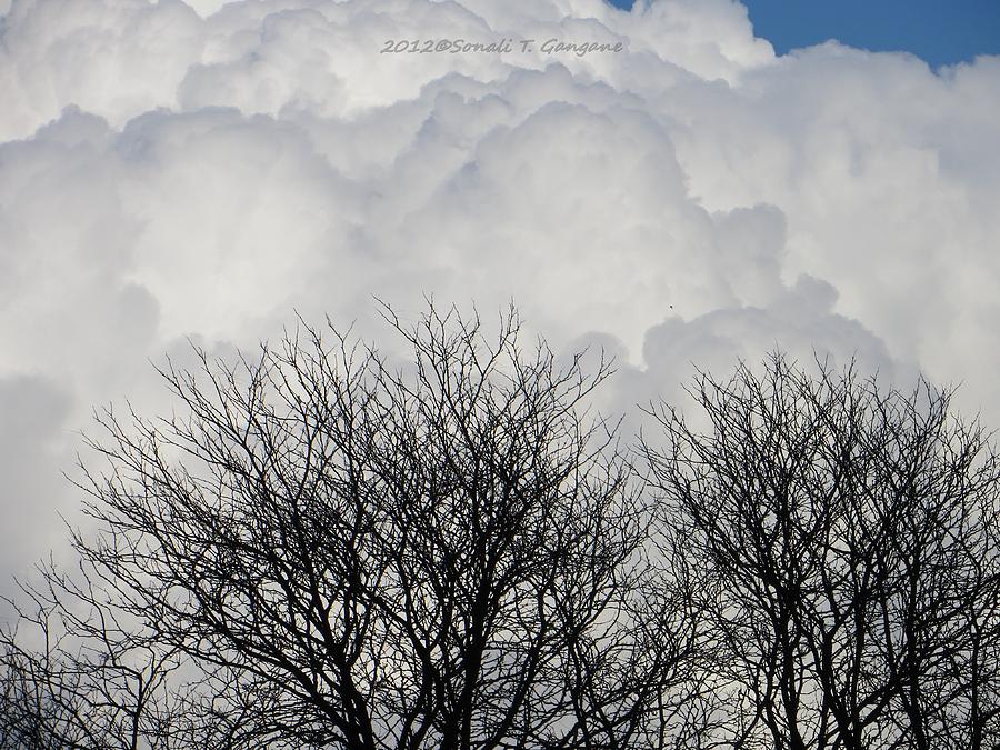 White Clouds Photograph - Clouds named Cotton by Sonali Gangane