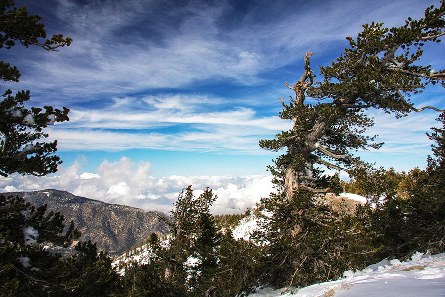 Tranquil Clouds on Top of Snow Covered Mountains Photograph by Jerry Cowart