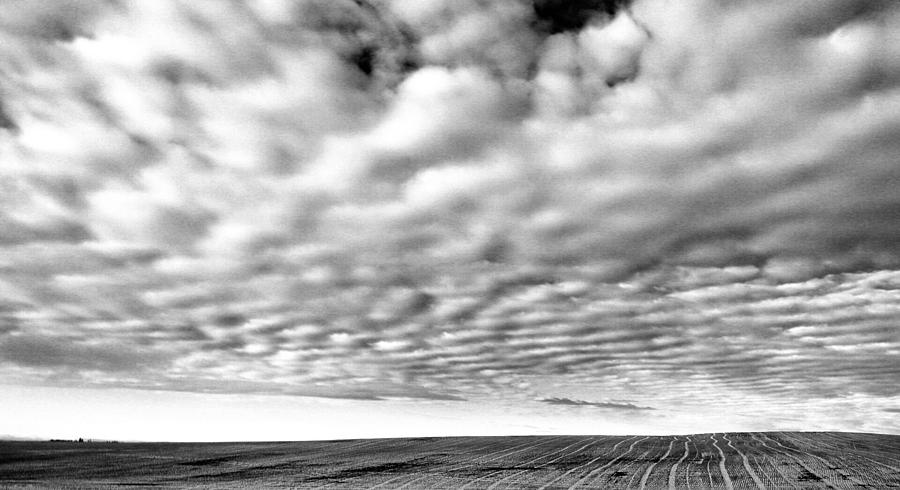 Clouds Over A North Dakota Field Photograph by Jeff Swan