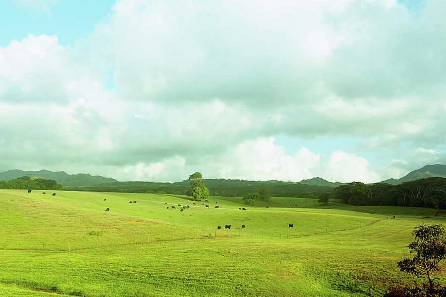 Clouds Over A Pasture Photograph by 4x6
