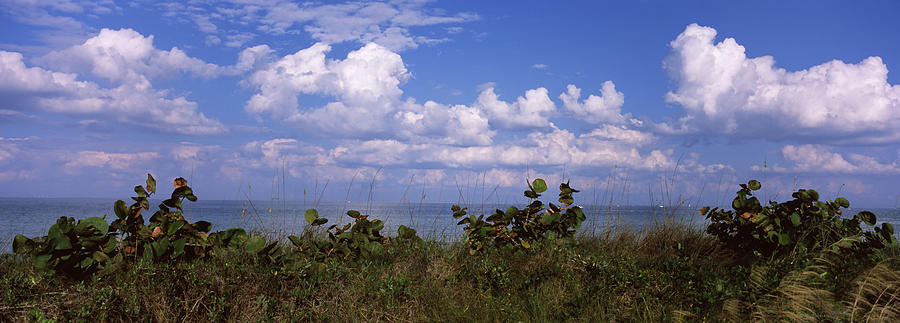 Clouds Over The Sea, Tampa Bay, Gulf Of Photograph by Panoramic Images