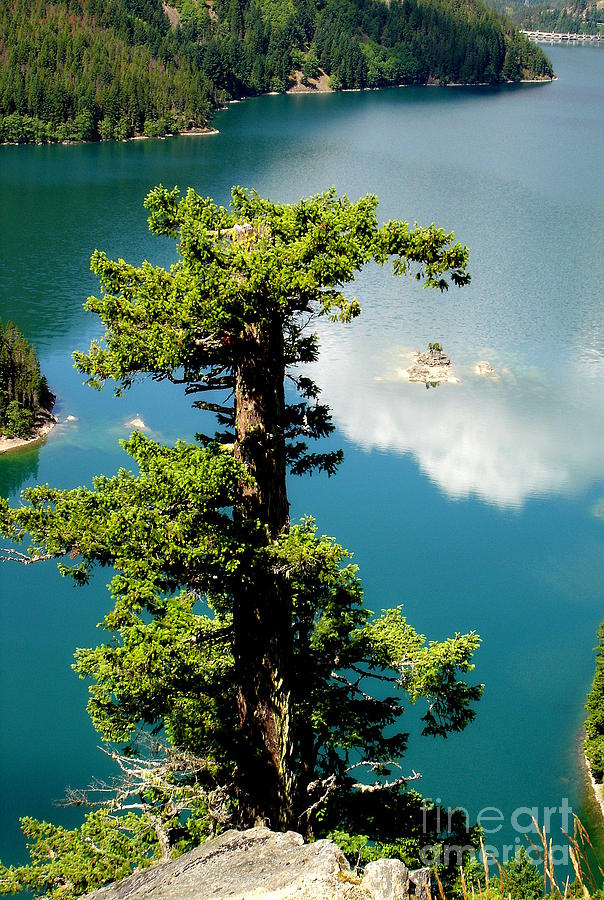 Clouds Reflection in Emerald Water Of Ross Lake Photograph by Tatyana Searcy