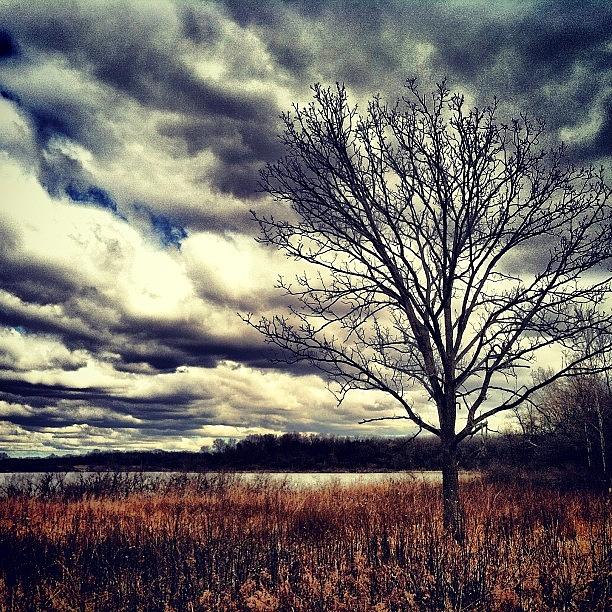 Tree Photograph - #clouds #sky #tree by Michelle Behnken