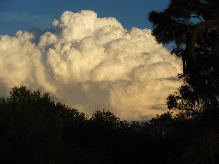 Nature Photograph - Clouds  by Zina Stromberg
