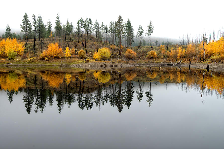 Cloudy Autumn Reflection Photograph by Allan Van Gasbeck