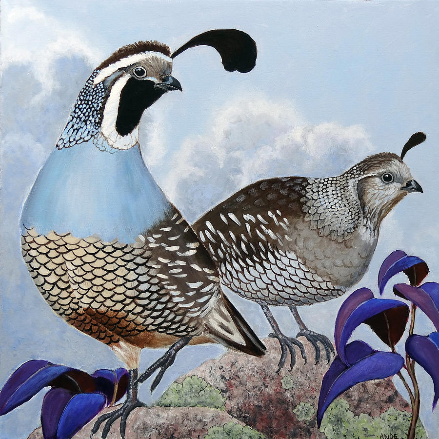 Bird Painting - Cloudy California Quail by Ande Hall