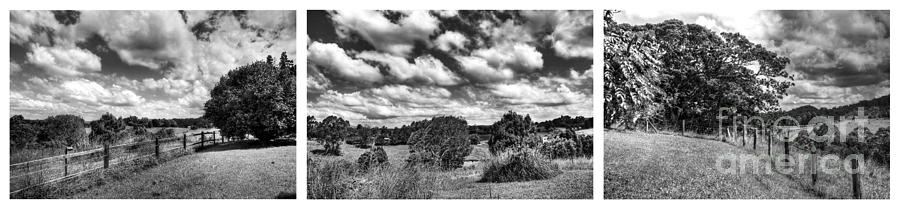 Cloudy Countryside Collage - Black and White Photograph by Kaye Menner