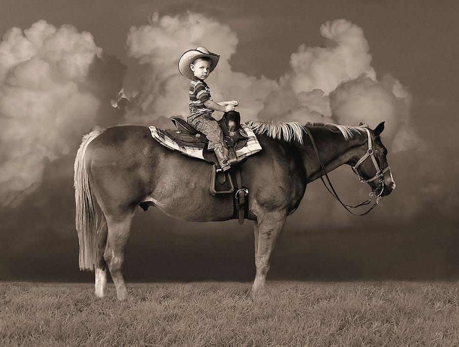 Horse Photograph - Cloudy Expressions by Delilah Downs
