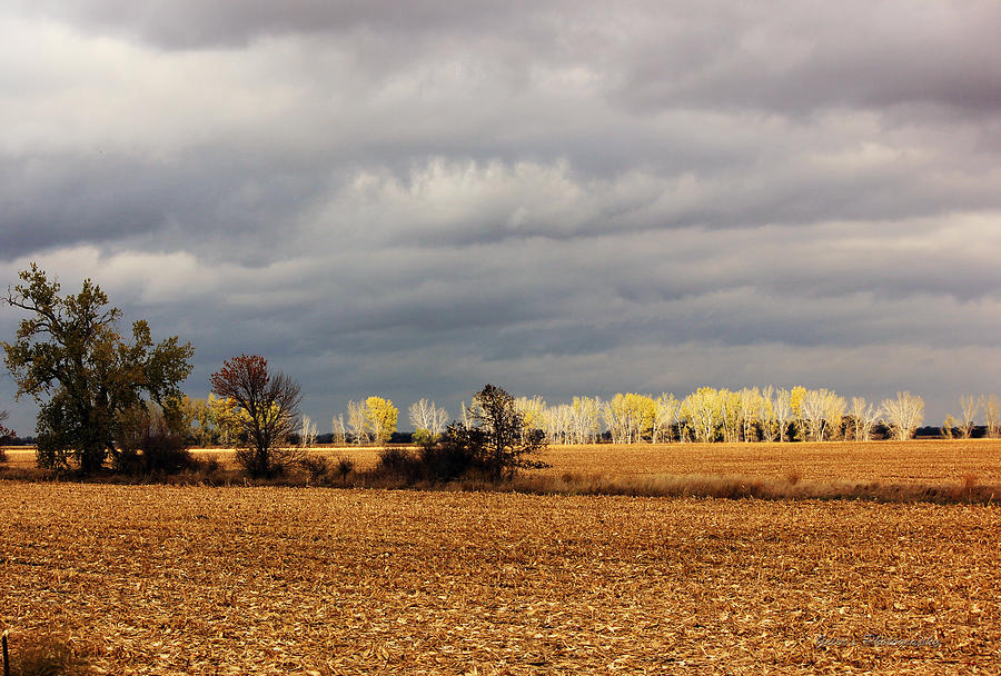 Fall Photograph - Cloudy Fall After by Robert Geier