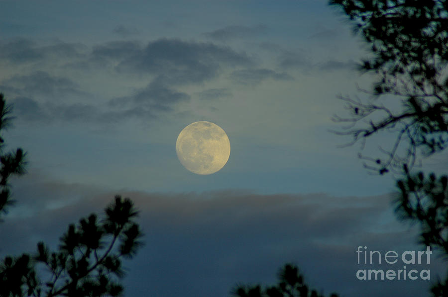 Cloudy Moon Photograph by Dale Powell