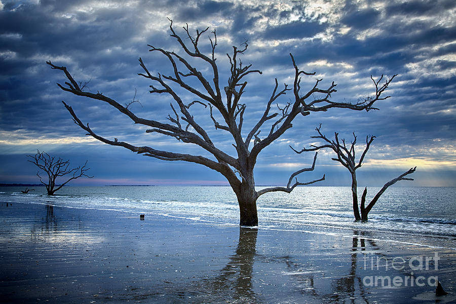 Cloudy Morning Botany Bay Photograph by Carrie Cranwill