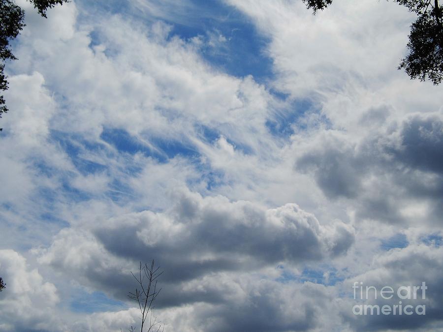 Cloudy Sky Photograph by D Hackett