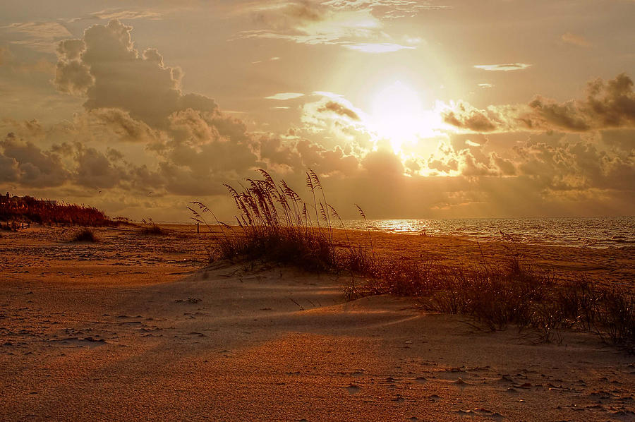 Cloudy Sunrise and Seaoat beach Digital Art by Michael Thomas