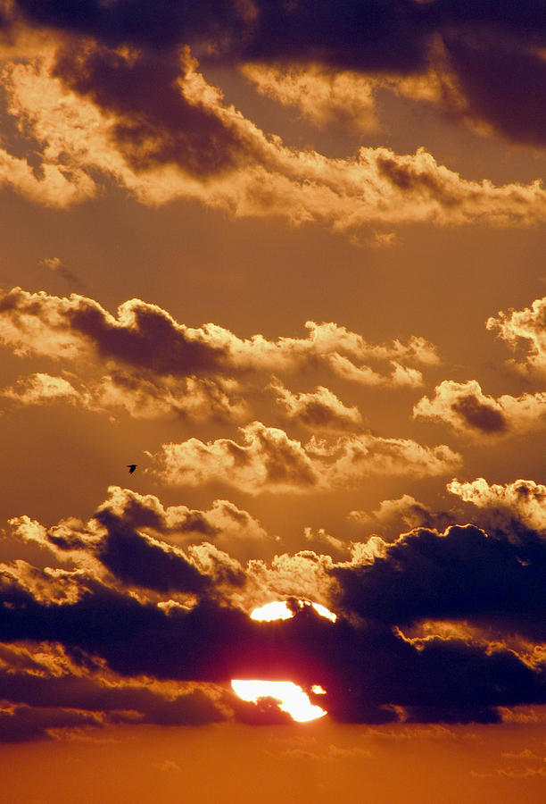 Key West Cloudy Sunset Photograph by Bob Slitzan