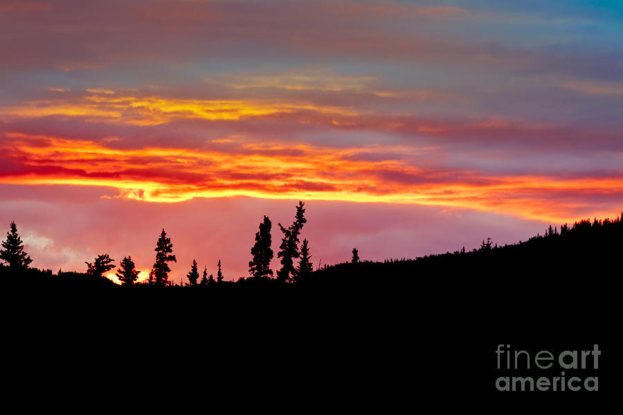 Cloudy Sunset Sky On Fire And Silhouette Of Forest Photograph