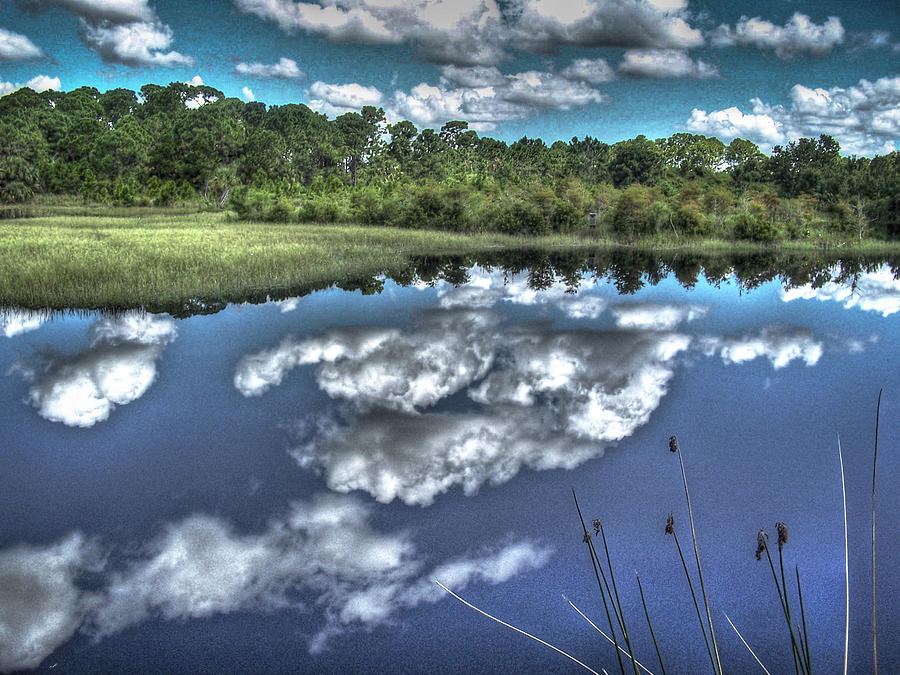 Tree Photograph - Cloudy Waters by Deborah Klubertanz