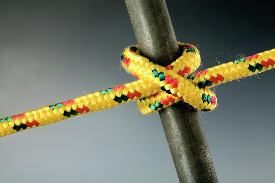 Clove Hitch Knot Photograph by Steve Percival/science Photo Library