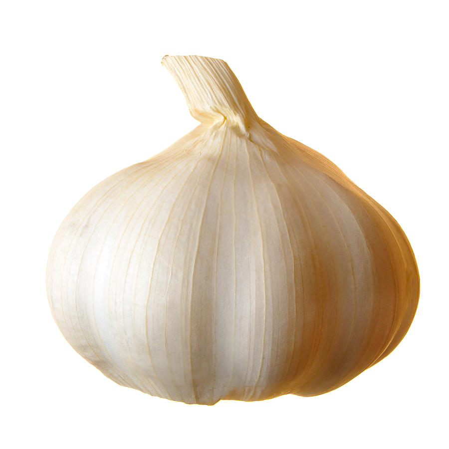 Clove Of Garlic Photograph By Jim Hughes