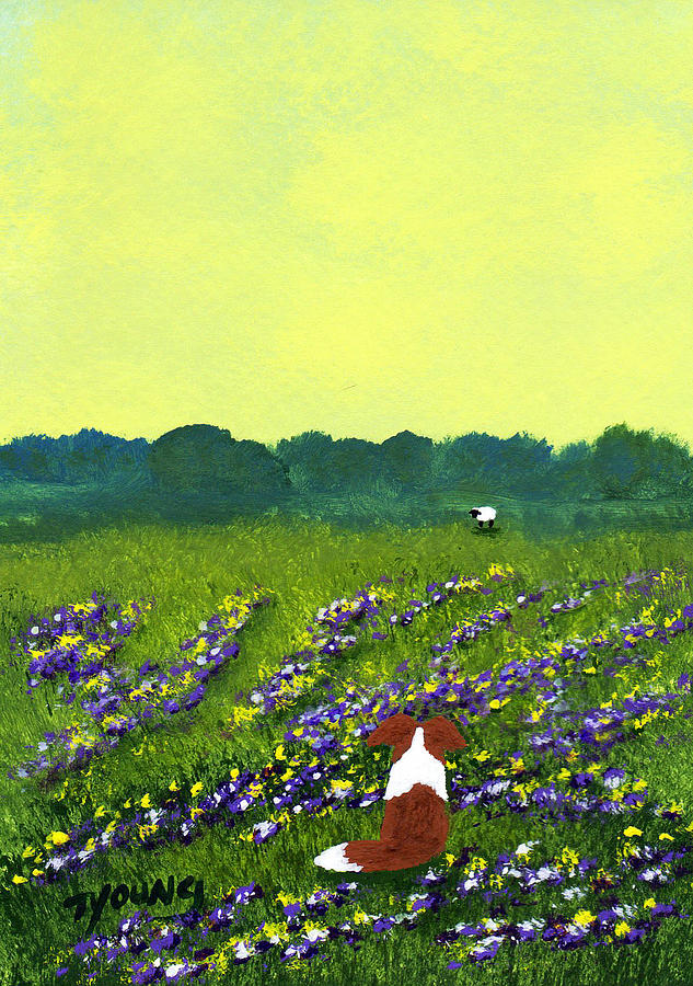 Sheep Painting - Clover Field by Todd Young