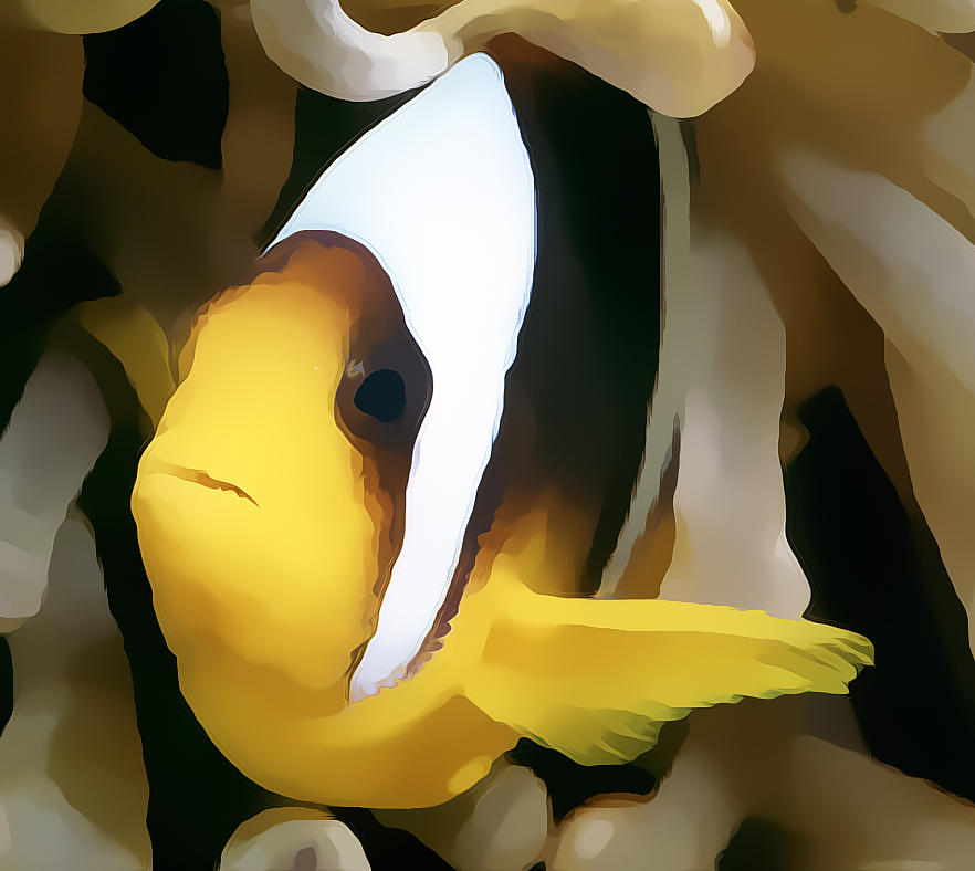 Clown Fish 3 Digital Art by Roy Pedersen