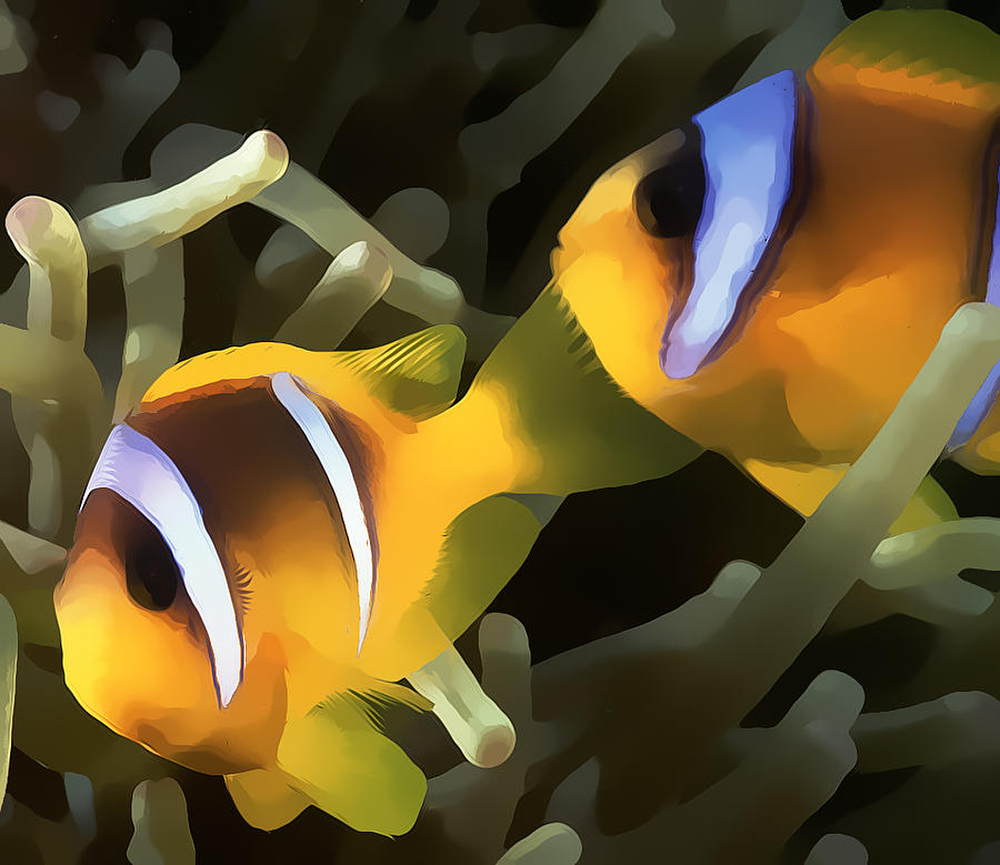 Clown Fish 5 Digital Art by Roy Pedersen