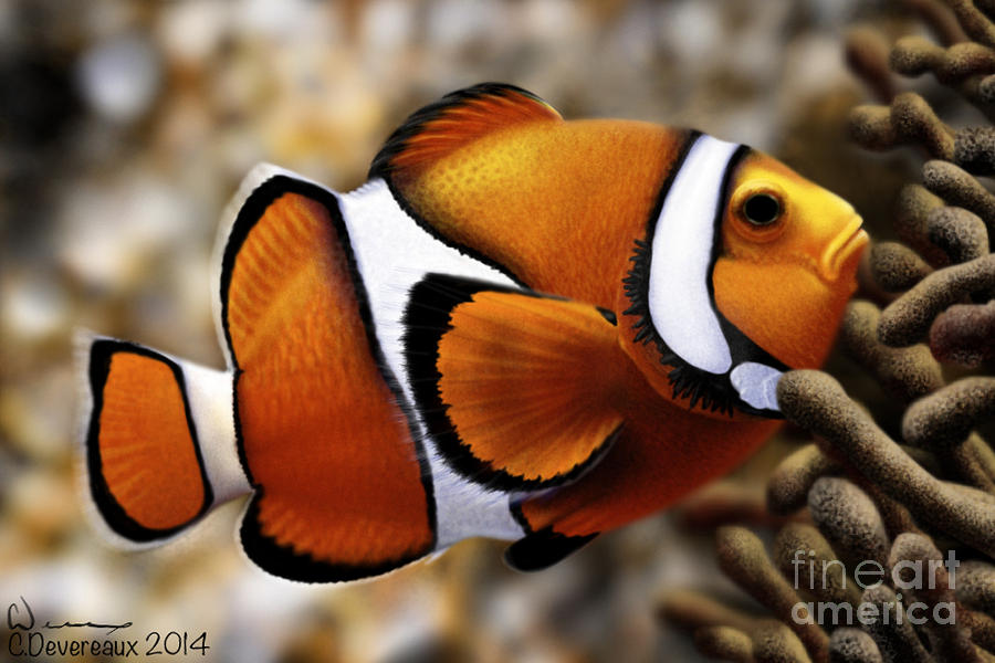 Fish Digital Art - Clown Fish by Chuck Devereaux Art