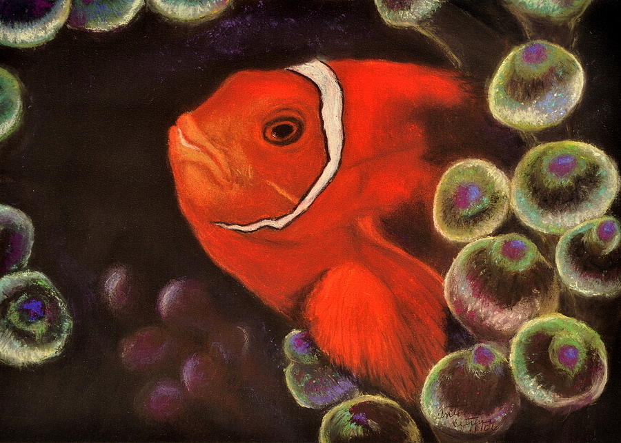Fish Pastel - Clown Fish in Hiding  Pastel by Antonia Citrino