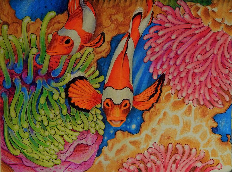 Clown Fish Drawing by Sarah Penhale