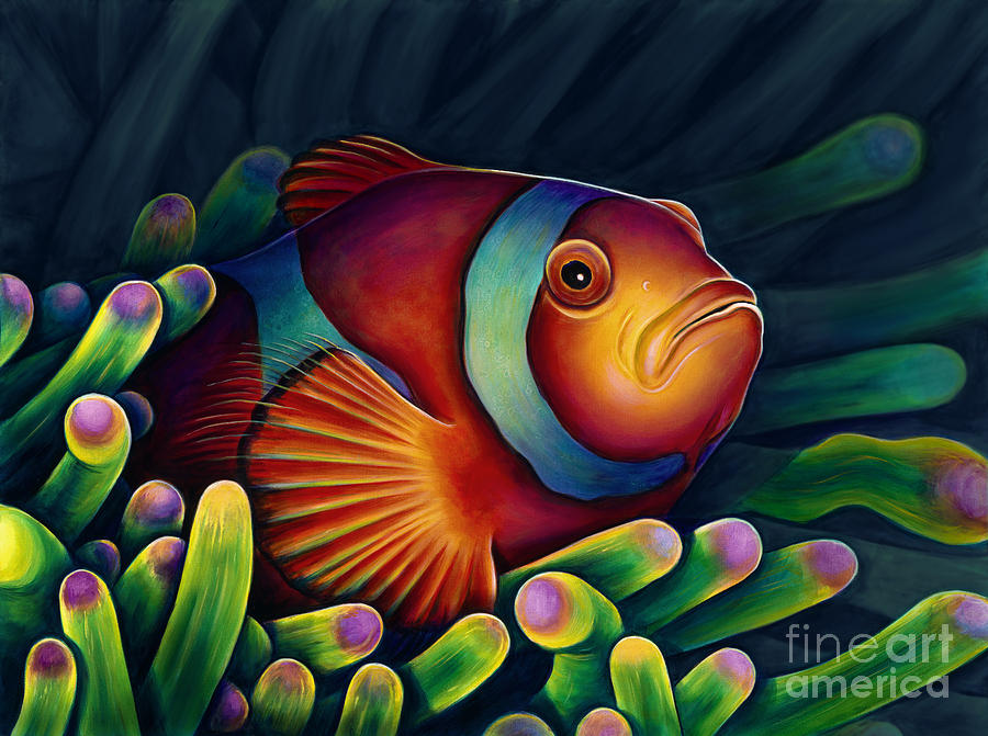 Fish Painting - Clown Fish by Scott Spillman
