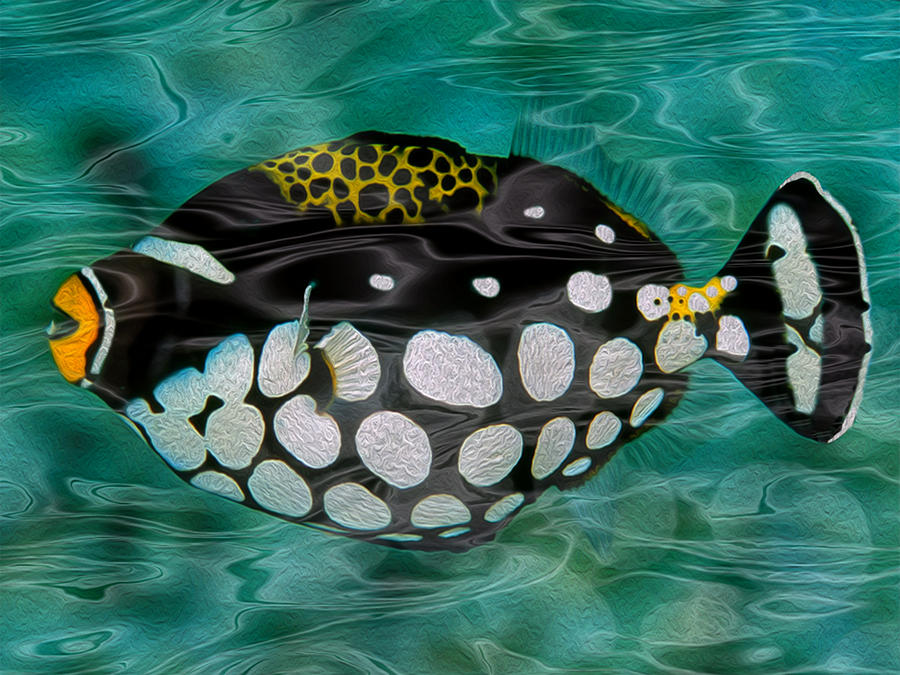 Fish Painting - Clown Triggerfish by Jack Zulli