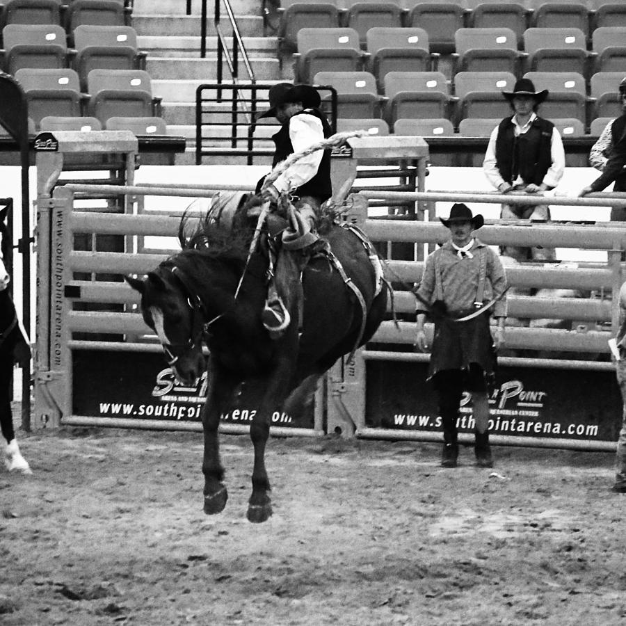 Clown Watches Bronc BW Photograph by C H Apperson