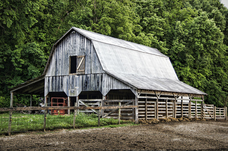 Barn Photograph - Clubhouse Road Barn by Cricket Hackmann