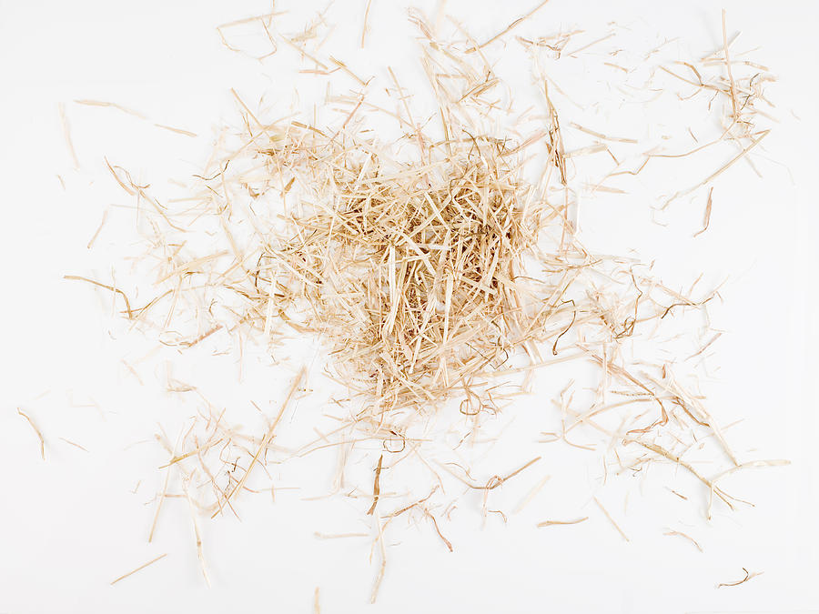 Clump of hay on pure white ground Photograph by Nicholas Cope