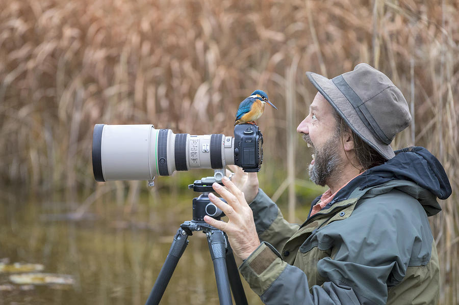 Clumsy nature photographer with kingfisher on the Camera Photograph by DieterMeyrl