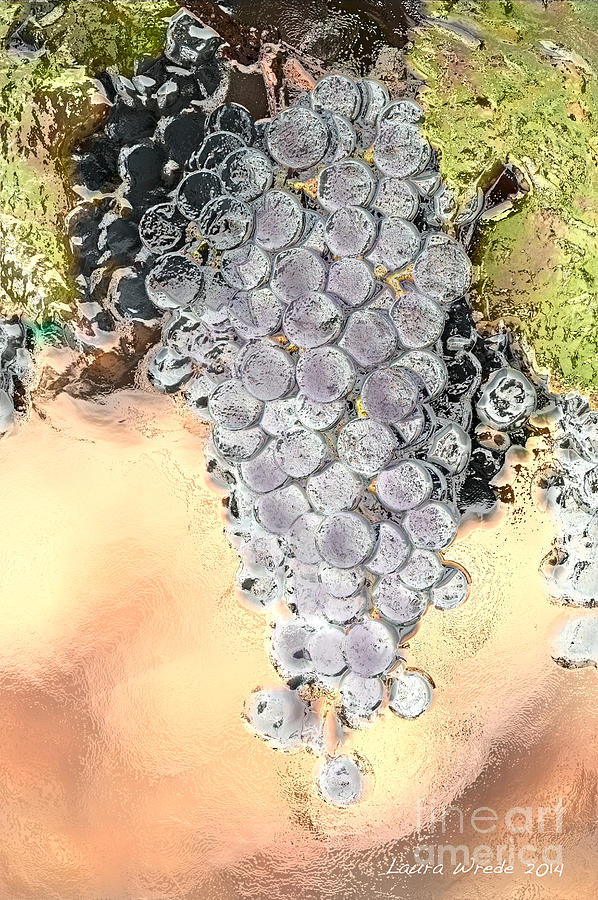 Grape Painting - Cluster of Grapes by Artist and Photographer Laura Wrede