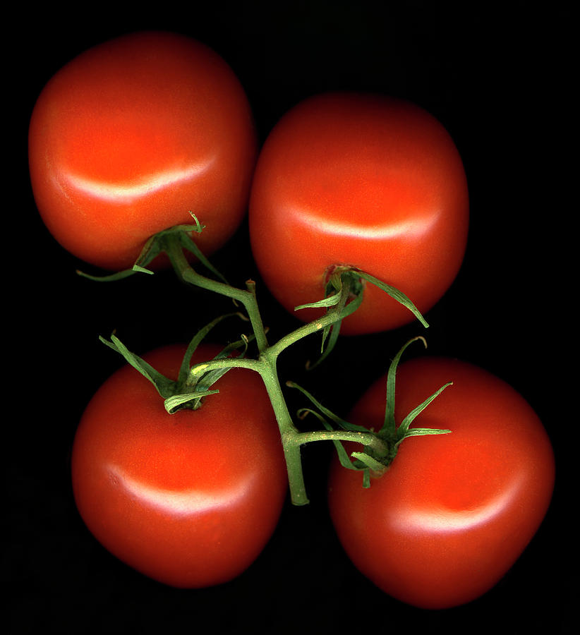 Cluster Of Red Tomatoes On Black Photograph by Thomas J Peterson
