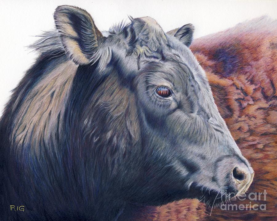 Clyde Drawing by Rosellen Westerhoff Clyde Drawing by Rosellen Westerhoff