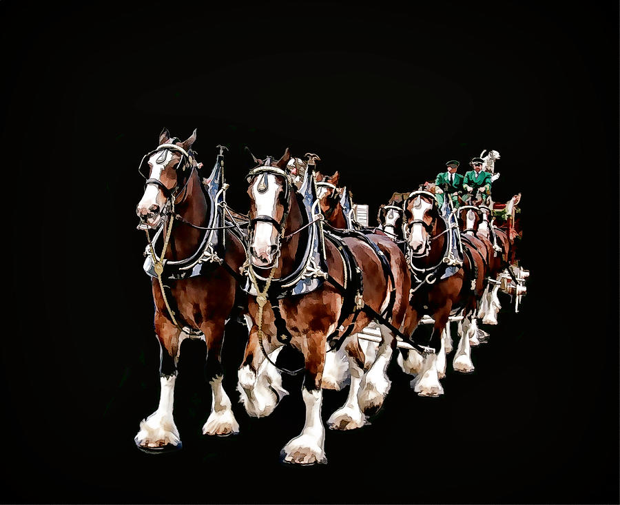 Clydesdales Hitch Photograph by Constantine Gregory