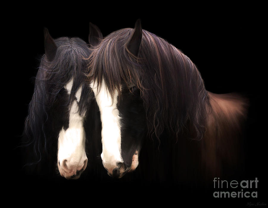 Horse Digital Art - Clydesdales by Lynn Jackson