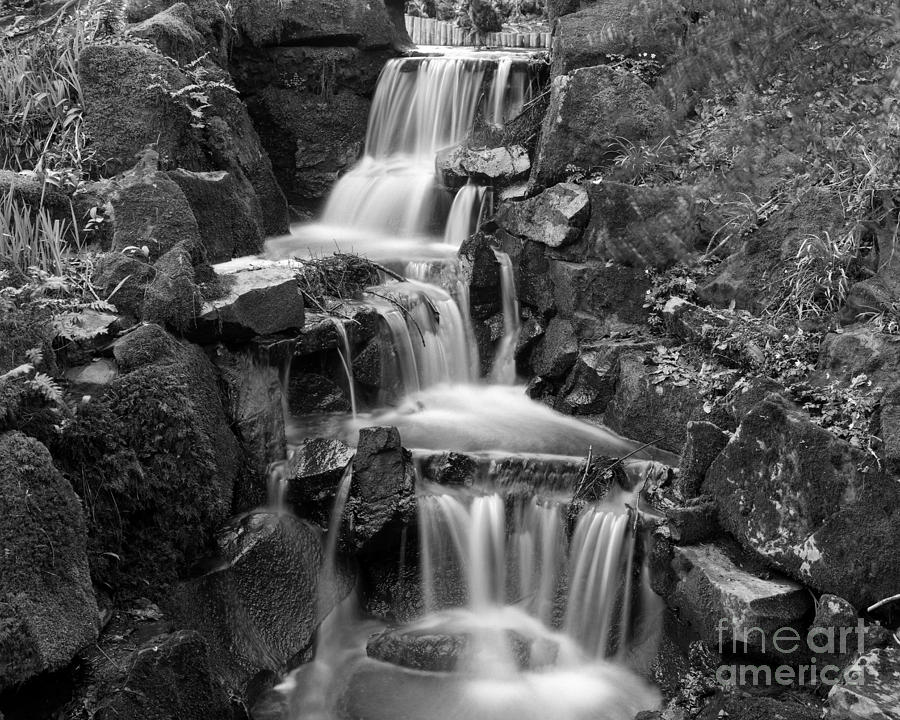 Clyne park waterfall Photograph by Paul Cowan