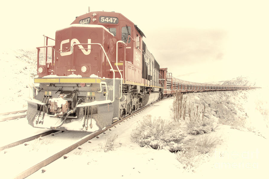 CN train Photograph by Wendy Elliott