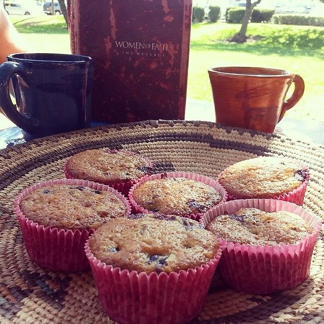 #coachsoats Blueberry Muffin And  Fresh Photograph by Jamie Holguin