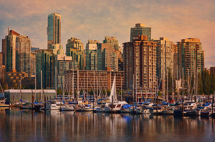 Coal Harbour Marina - Vancouver Photograph by Maria Angelica Maira