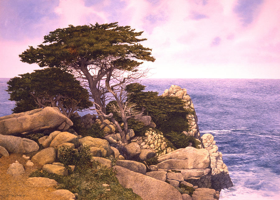 Nature Painting - Coast At Lobos by Tom Wooldridge