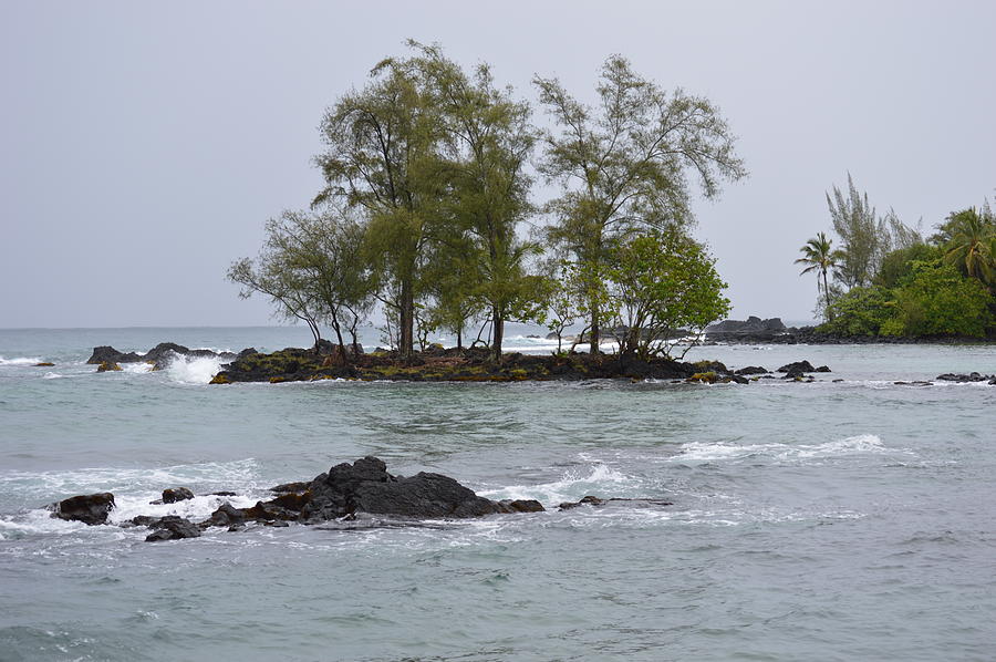 Coast of Hilo Hawaii Photograph by Brian White