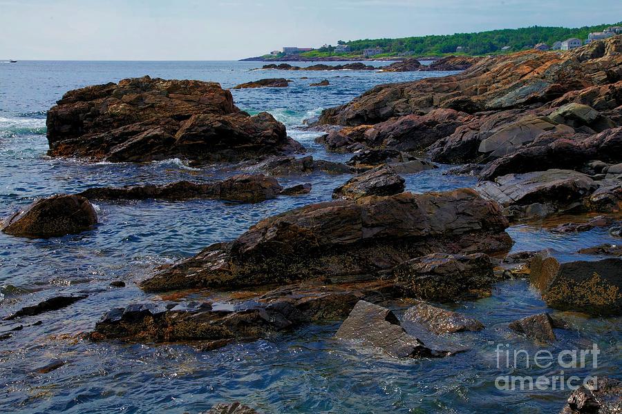 Coast of Maine Photograph by Nicola Fiscarelli