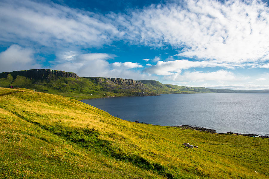 Coast Of Scotland Photograph by Andreas Berthold